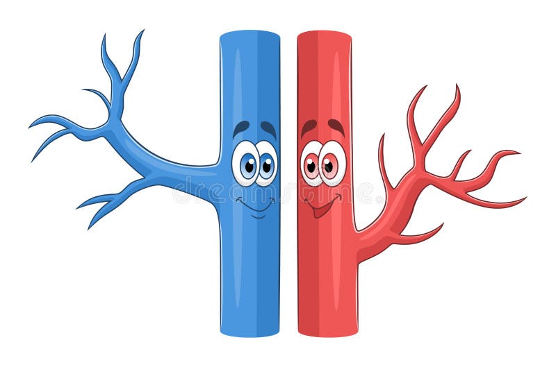 Blood Vessels Background