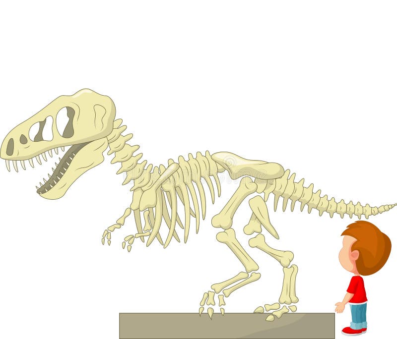 Cartoon Boy with Dinosaur Skeleton at the Museum Stock Vector -  Illustration of exhibition, enormous: 45746162