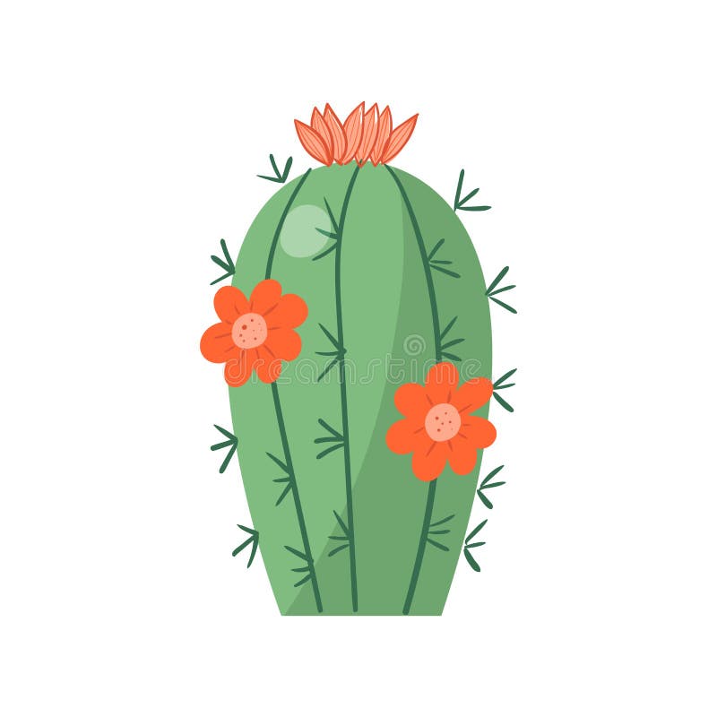 Cartoon cactus. Vector bright cacti. Colored, bright cacti flowers isolated  on white background - Stock Image - Everypixel