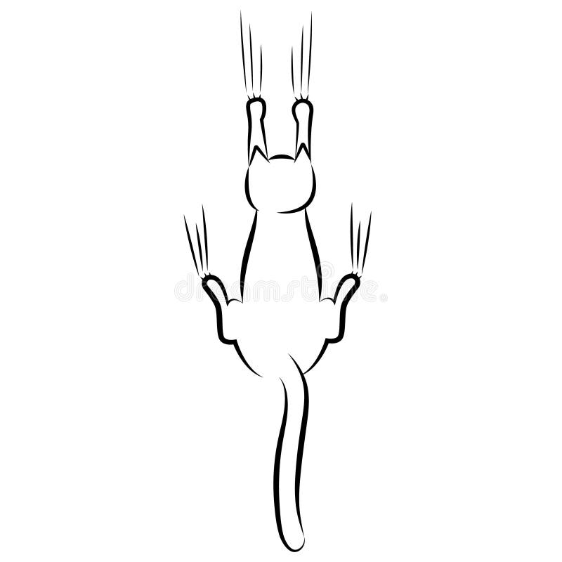 Cartoon Cat Hanging on the Wall or Curtains. Simple Drawing Print for T-shirts Stock Illustration - Illustration of hanging, funny: 163274216 Cartoon Cat Hanging on the Wall or Curtains. Simple Drawing Print for T-shirts Stock Illustration - Illustration of hanging, funny: 163274216