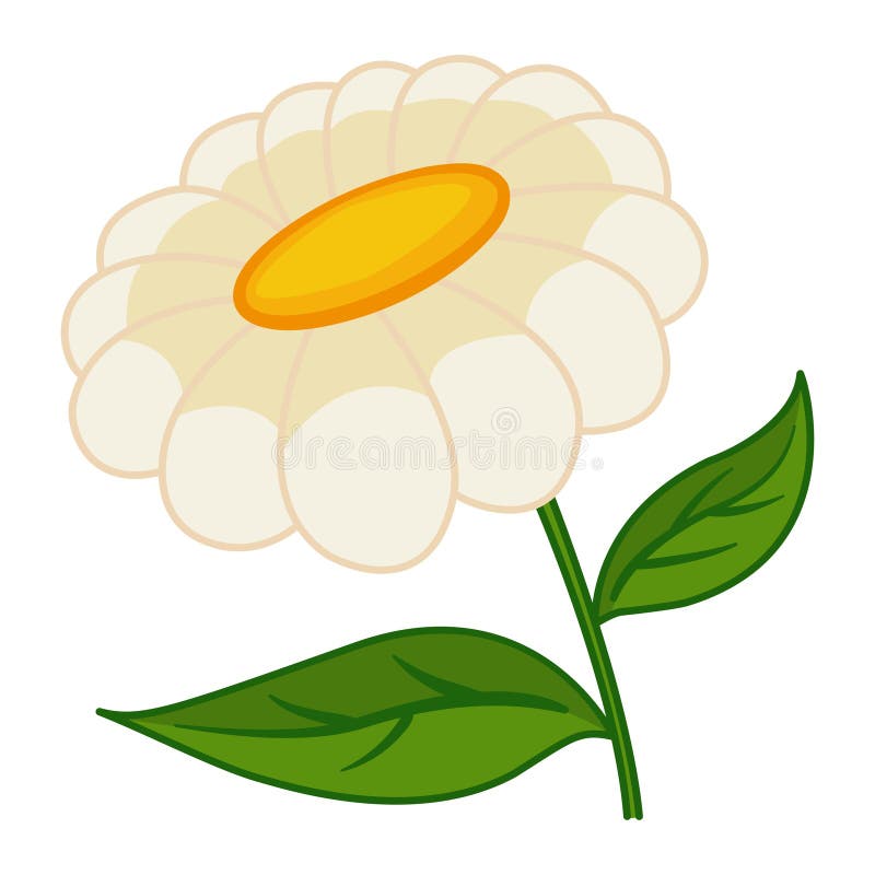 Cartoon Chamomile. royalty free illustration