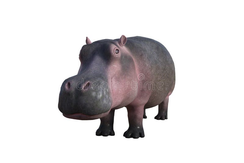 Hippo Open Big Mouth Stock Illustrations – 62 Hippo Open Big Mouth Stock Illustrations, Vectors & Clipart - Dreamstime Hippo Open Big Mouth Stock Illustrations – 62 Hippo Open Big Mouth Stock Illustrations, Vectors & Clipart - Dreamstime