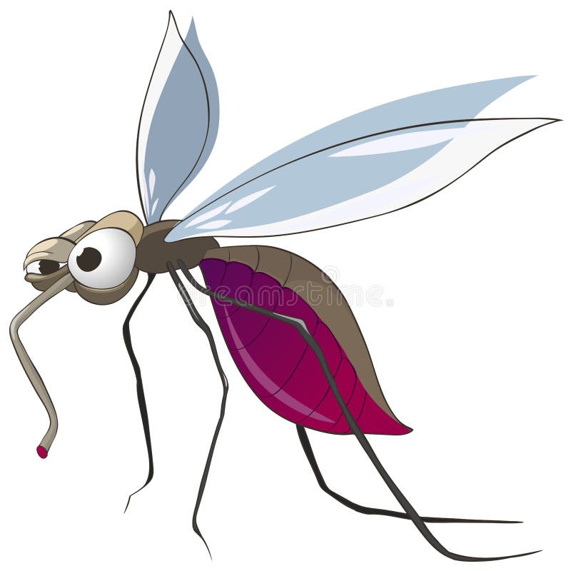 Cartoon Character Mosquito vector illustration