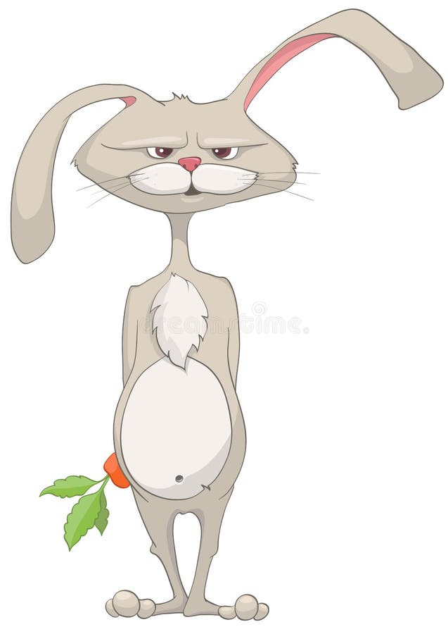 Cartoon Character Rabbit vector illustration