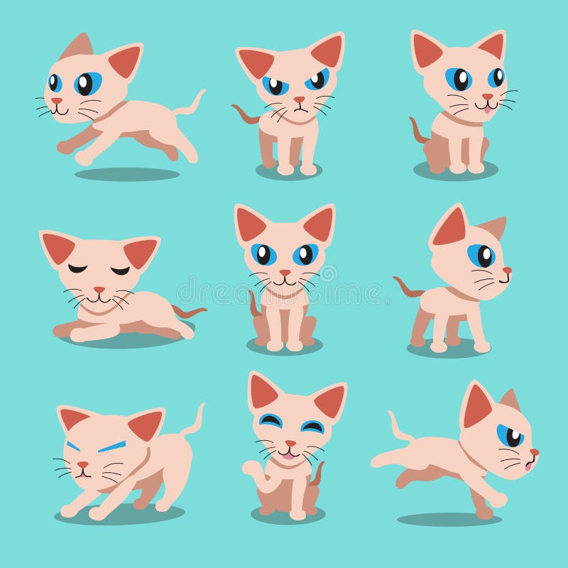 Pin by 1 6094227414 on Draw Cats  Cartoon cat drawing Cat drawing  tutorial Animal drawings