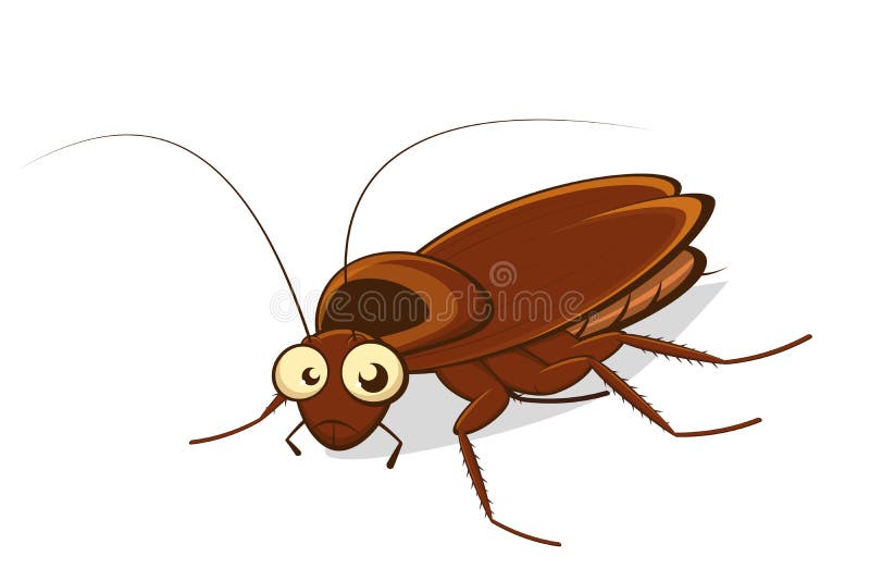 Funny Cartoon Illustration of a Cockroach Stock Illustration ...