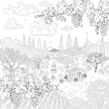 Grape Vine Coloring Stock Illustrations – 162 Grape Vine Coloring Stock