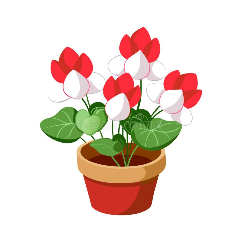 Cartoon Cyclamen Flower Plant in Pot Vector Illustration for Print and Decoration ilustracja wektor