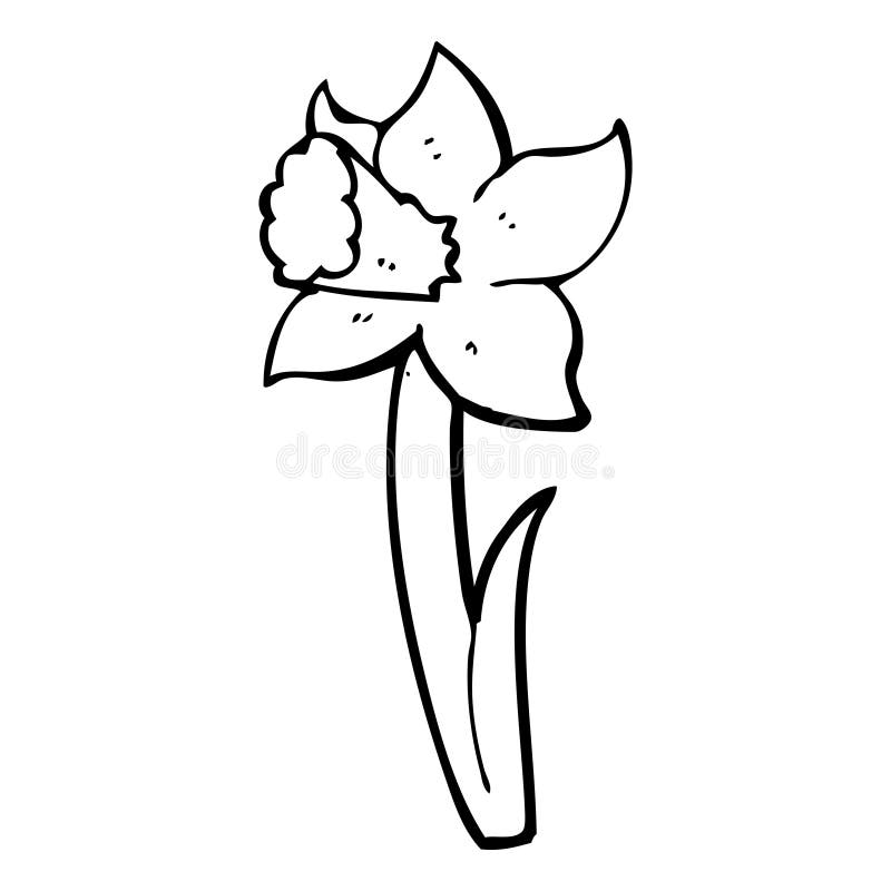 cartoon daffodil