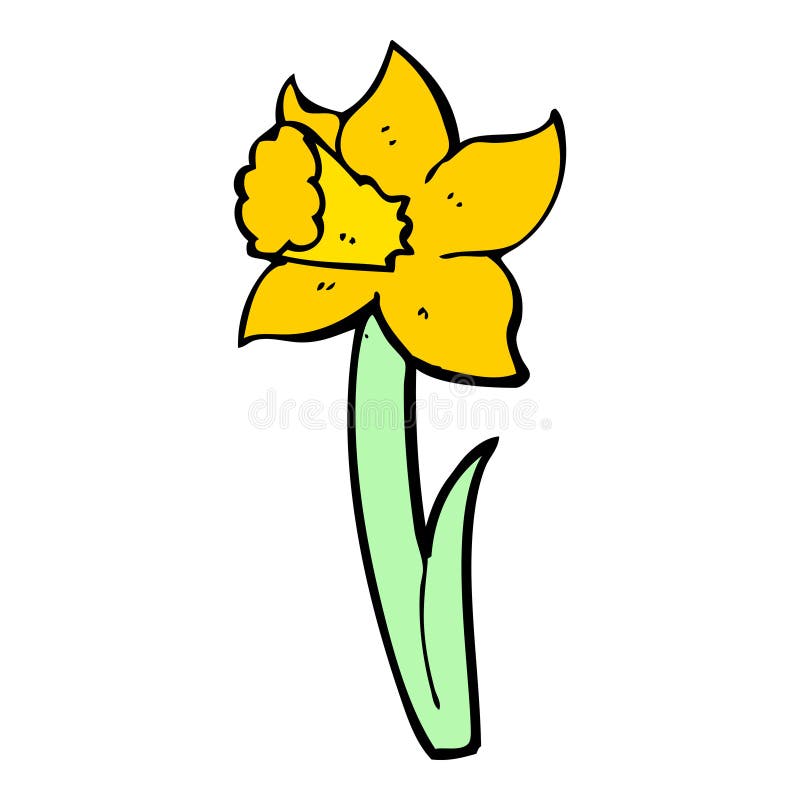 Cartoon daffodil stock vector. Illustration of drawing 37011659