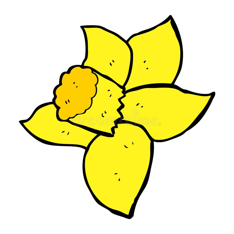 cartoon daffodil