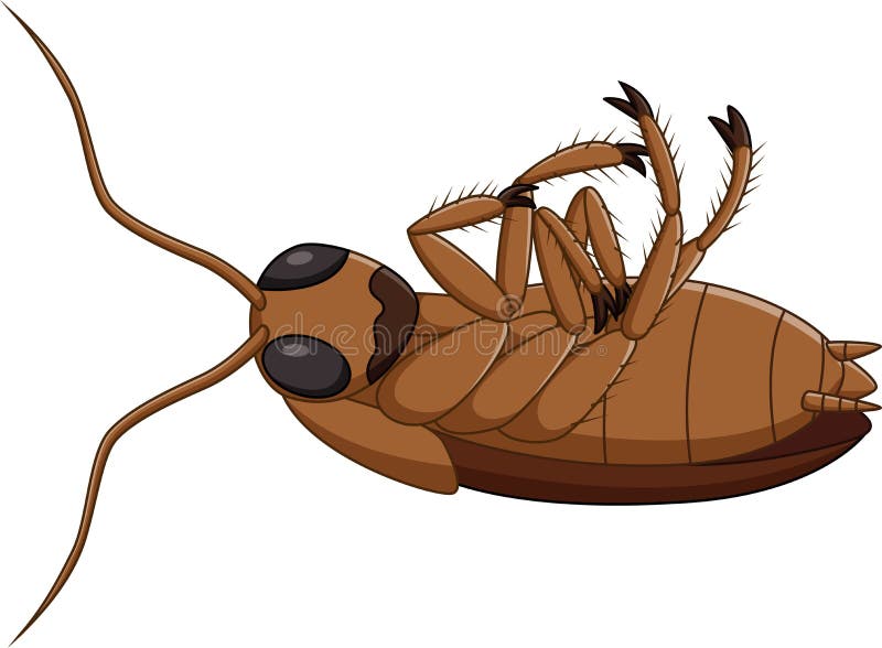 Cartoon dead cockroach stock vector. Illustration of pest - 66123259