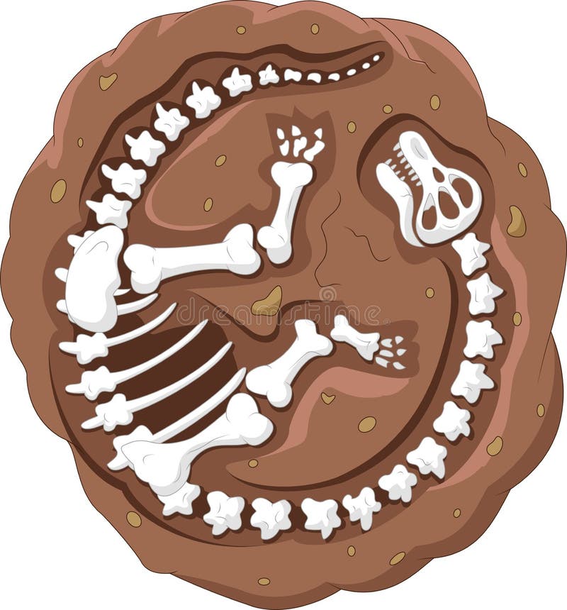 Cartoon dinosaur fossil stock vector. Illustration of isolated - 45746008
