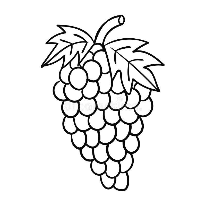 Wine Grape Drawing Fruit, Cartoon grapes, cartoon Character, food, leaf png  | PNGWing