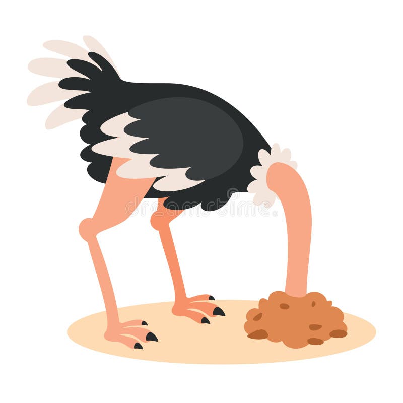 Cartoon Drawing of an Ostrich Stock Vector - Illustration of baby ...