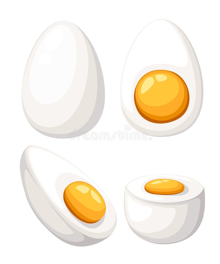 Cartoon egg isolated on white background. Set of fried, boiled, half, sliced eggs. Vector illustration. Eggs in various forms. Web stock illustration