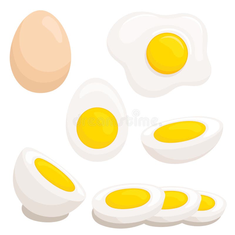 Cartoon egg on white background vector illustration