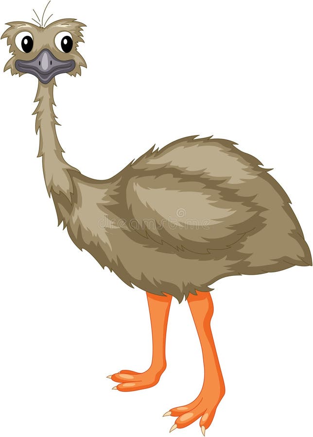 Emu Stock Illustrations – 2,476 Emu Stock Illustrations, Vectors & Clipart  - Dreamstime