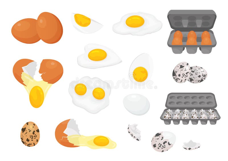 Cartoon farm fresh chicken and quail eggs in packages. Broken, raw, fried and hard boiled egg half with yolk. Eggs for royalty free illustration