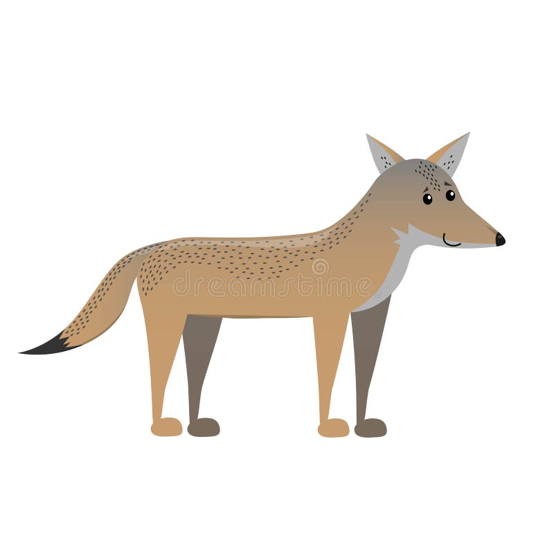Cartoon flat coyote stock illustration. Illustration of design - 207271280