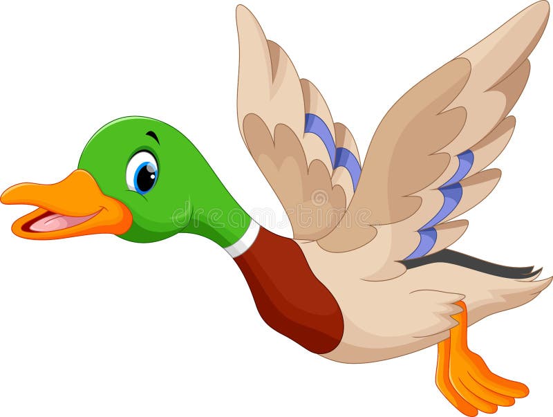 Flying Duck Stock Illustrations – 6,171 Flying Duck Stock Illustrations,  Vectors & Clipart - Dreamstime