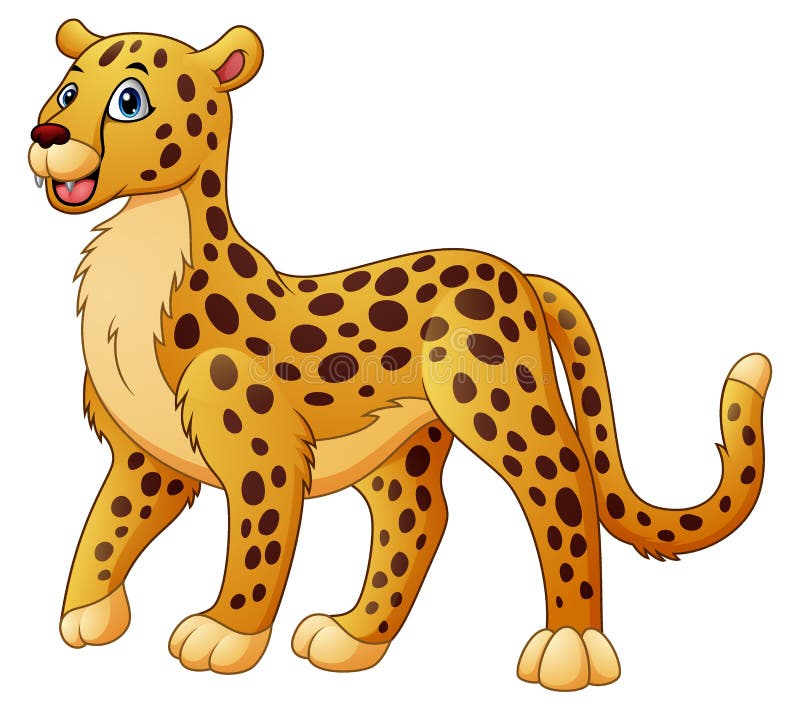 Cheetah Stock Illustrations – 9,158 Cheetah Stock Illustrations ...