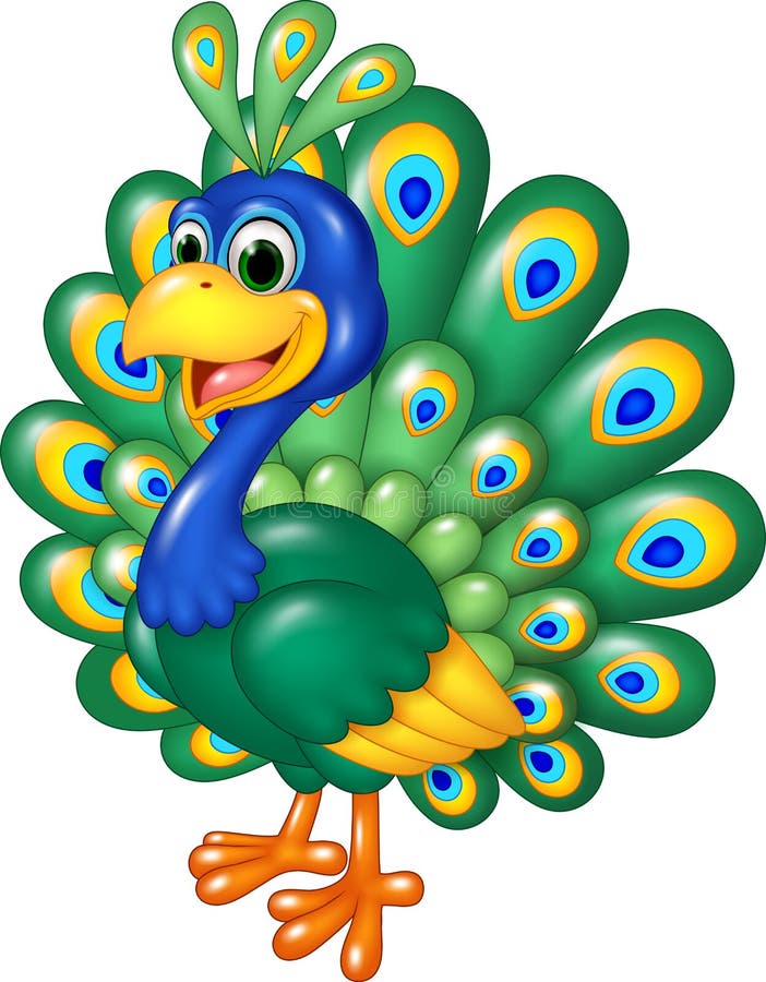 Cartoon funny peacock on white background.
