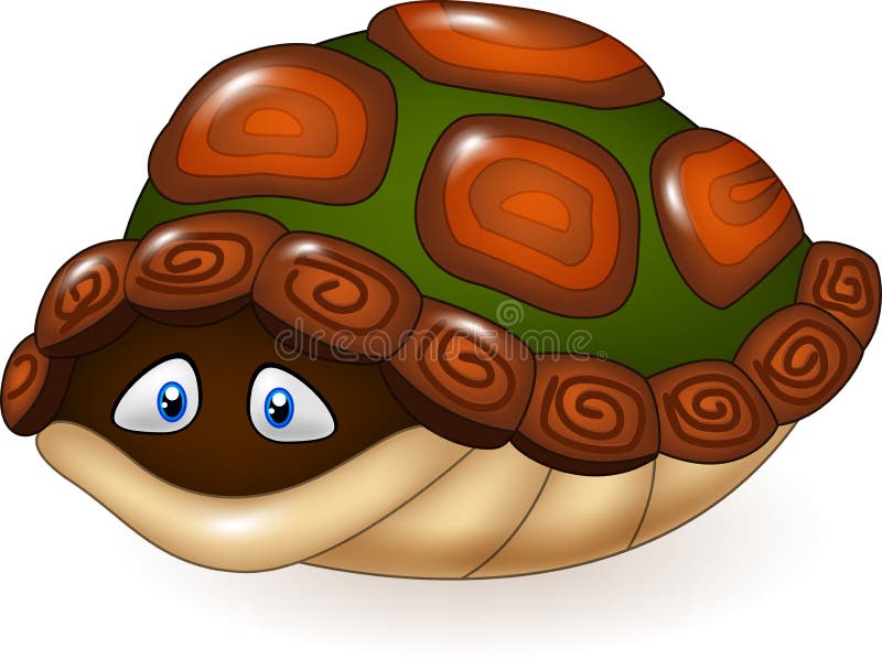 Cartoon Funny Turtle Hides in Its Shell Stock Vector - Illustration of  turtle, smile: 65273643