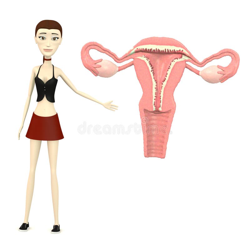 Cartoon Girl Shows Uterus Anatomy Stock Illustration - Illustration of  young, nurse: 29385969