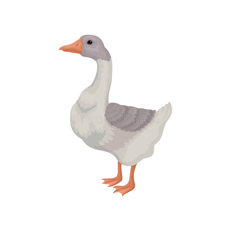 Cartoon illustration goose. Large bird with white-gray feathers and long neck. Domestic animal. Flat vector icon