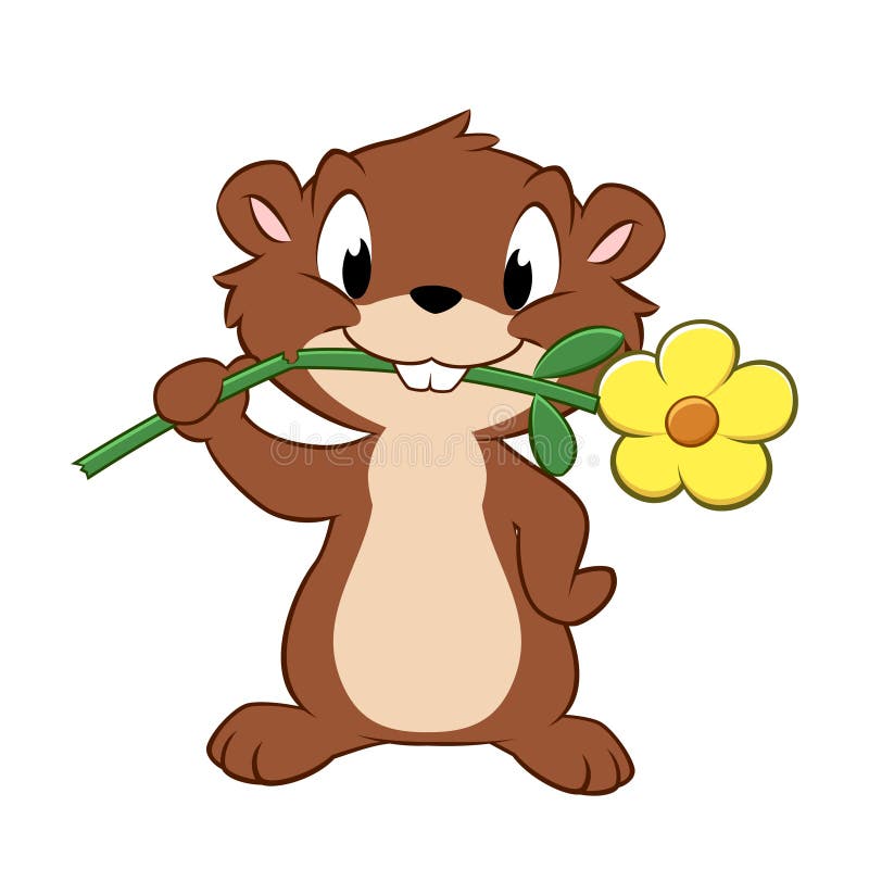 My Image 24