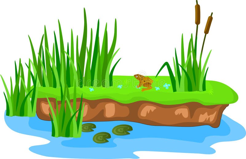 Cartoon Grass and Canes on a Bump in the Swamp. Stock Vector - Illustration  of animal, lake: 102493097