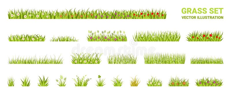 Cartoon grass. Spring garden plants with tiny flowers, field or herb garden pattern. Summer nature landscape, floral stock illustration