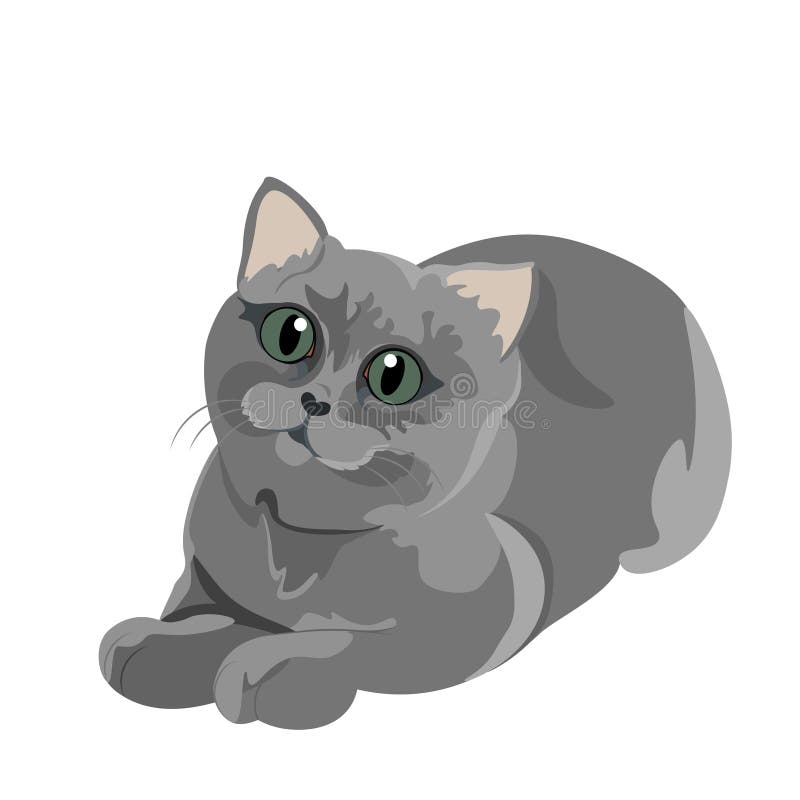 Cartoon Gray Fluffy Cat Illustration Isolated Stock Illustration Illustration Of Graphic Kawaii