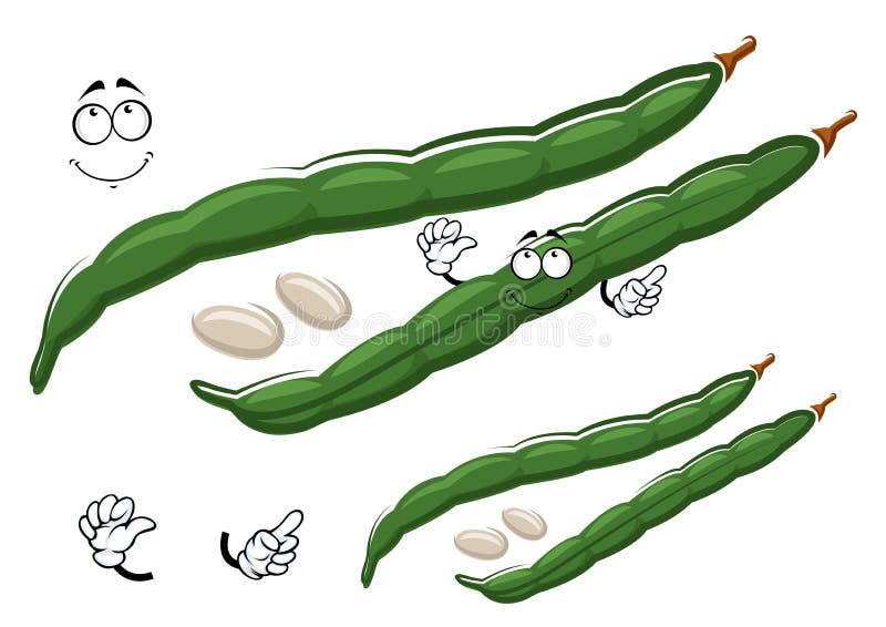 Cartoon Green Bean Pods with White Seeds Stock Vector - Illustration of  healthy, farm: 61665561