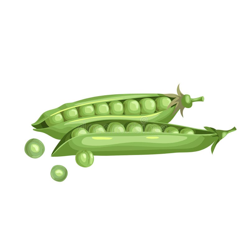 Cartoon Green Peas. Cartoon Style. Fresh Farm Product. Eco Nutrition Stock Vector - Illustration of garden, health: 198533026 Cartoon Green Peas. Cartoon Style. Fresh Farm Product. Eco Nutrition Stock Vector - Illustration of garden, health: 198533026