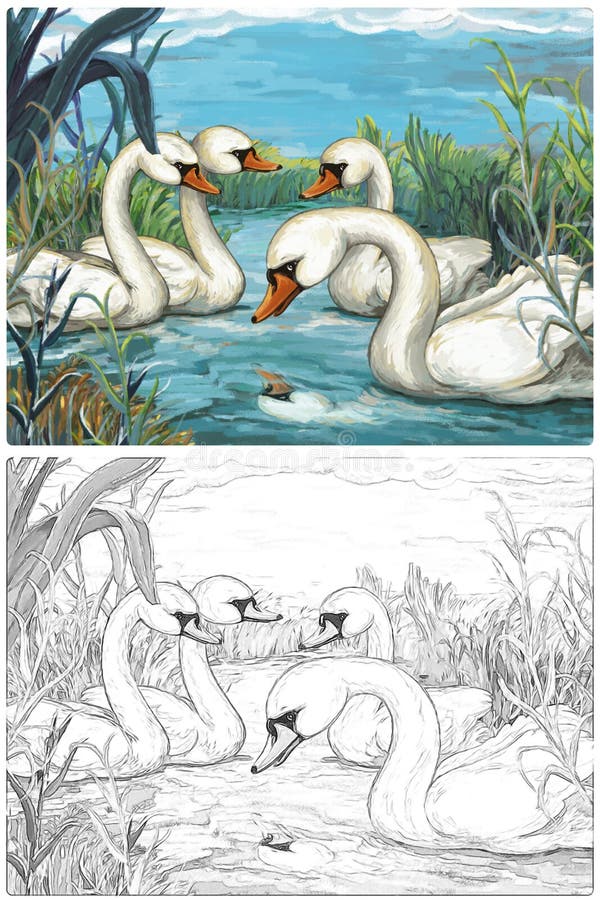 Cartoon happy and funny farm scene with happy bird swan sketchbook illustration for children