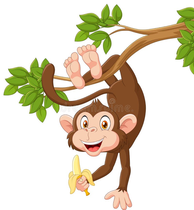 Cartoon happy monkey hanging and holding banana vector illustration Cartoon happy monkey hanging and holding banana vector illustration
