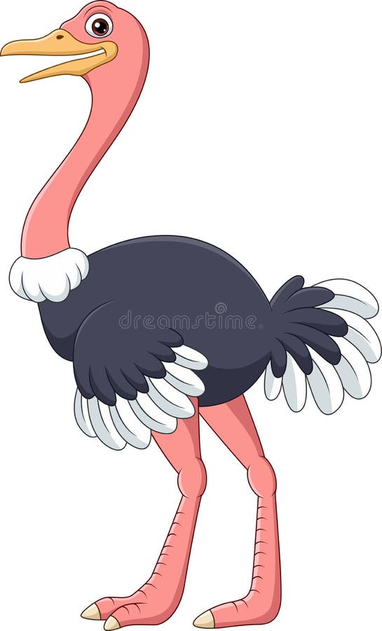 Cartoon Happy Ostrich Isolated on White Background Stock Vector - Illustration of funny, cute: 179250254 Cartoon Happy Ostrich Isolated on White Background Stock Vector - Illustration of funny, cute: 179250254