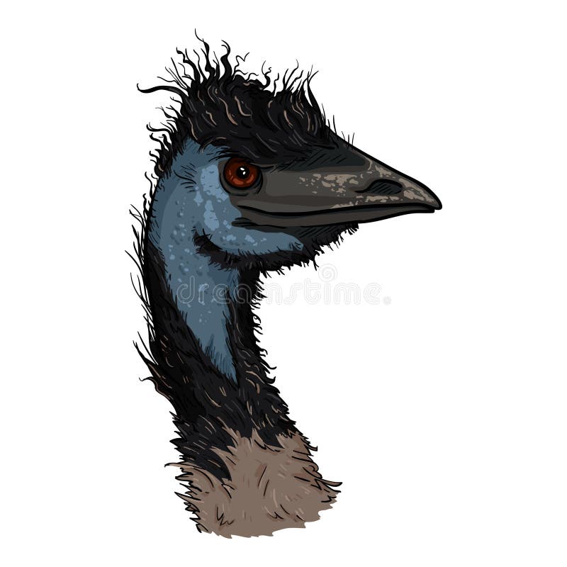 Cartoon Head of Emu Ilustracja ilustracji