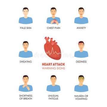 Cardiovascular Infographic Stock Illustrations – 2,268 Cardiovascular ...