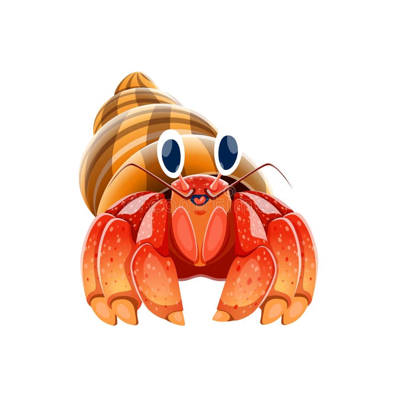 Cartoon hermit crab isolated cute character