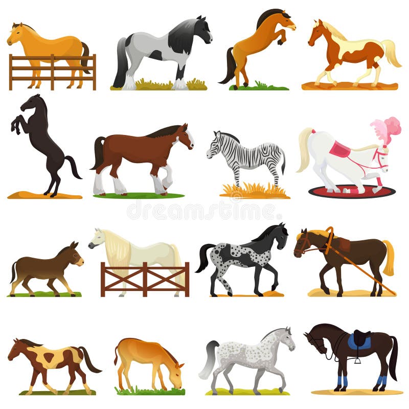 Cartoon horse vector cute animal of horse-breeding or equestrian and horsey or equine stallion illustration animalistic