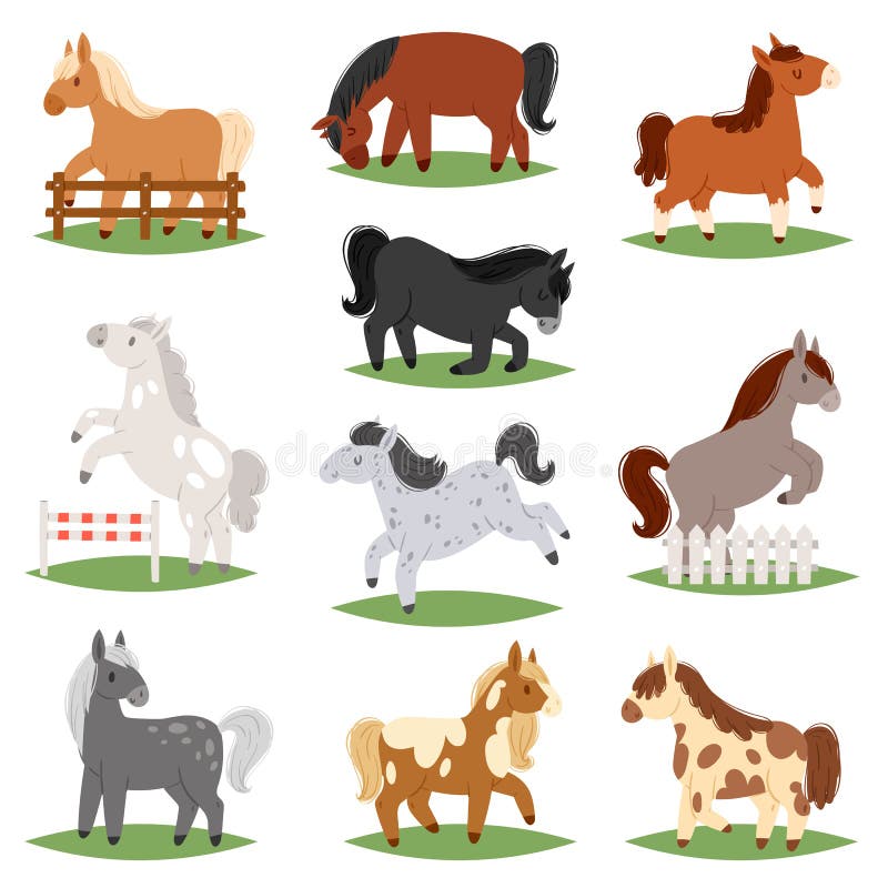 Cartoon horse vector cute animal of horse-breeding or kids equestrian and horsey or equine stallion illustration childly