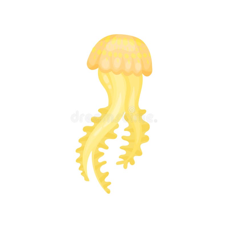 Icon of jellyfish. Bright yellow marine animal with long tentacles. Sea creature. Flat vector for children book or royalty free illustration Icon of jellyfish. Bright yellow marine animal with long tentacles. Sea creature. Flat vector for children book or royalty free illustration