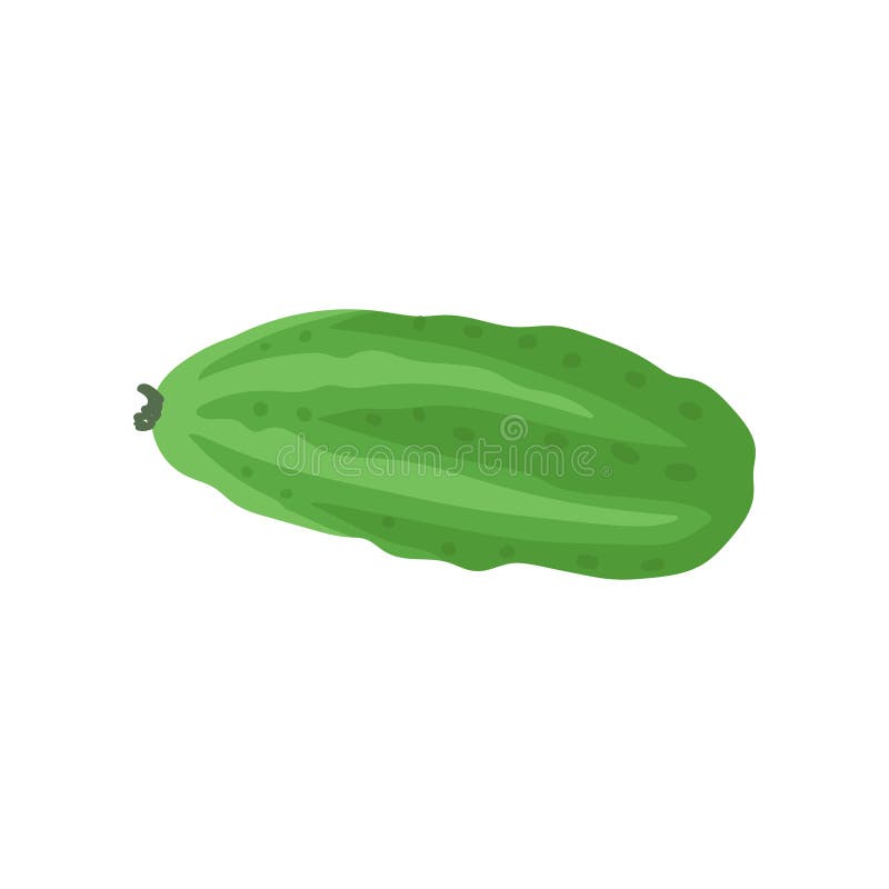 Flat vector icon of ripe green cucumber. Organic farm product. Fresh ingredient for vegetarian salad. Natural and royalty free illustration Flat vector icon of ripe green cucumber. Organic farm product. Fresh ingredient for vegetarian salad. Natural and royalty free illustration