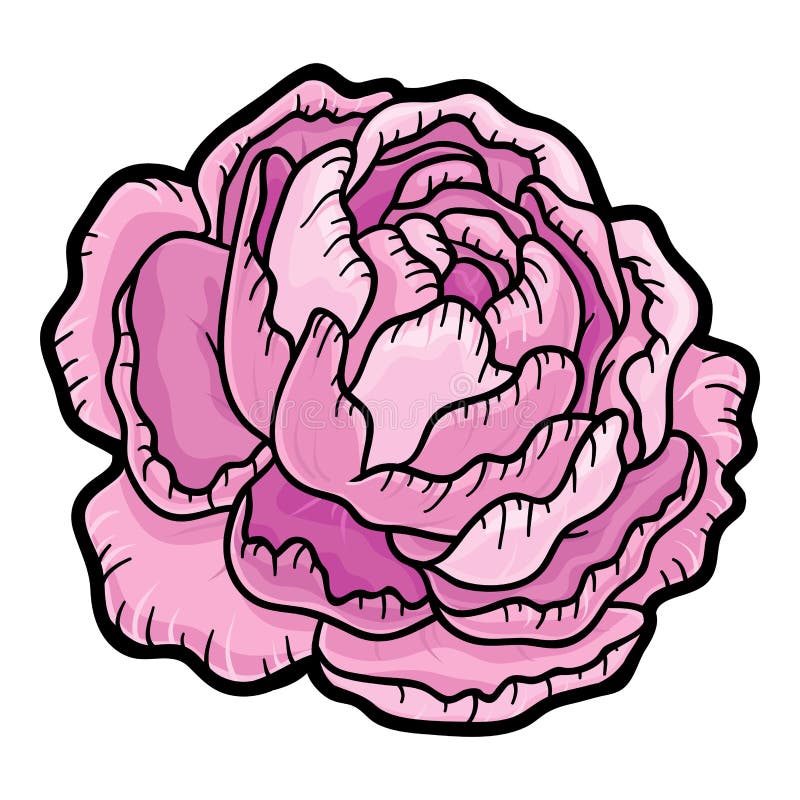 pic Cartoon Peony dreamstime com