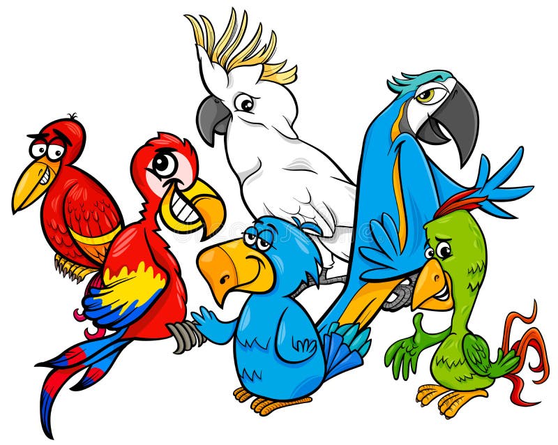 Colorful Parrots Group Cartoon Illustration Stock Vector - Illustration of  feather, animal: 150729736