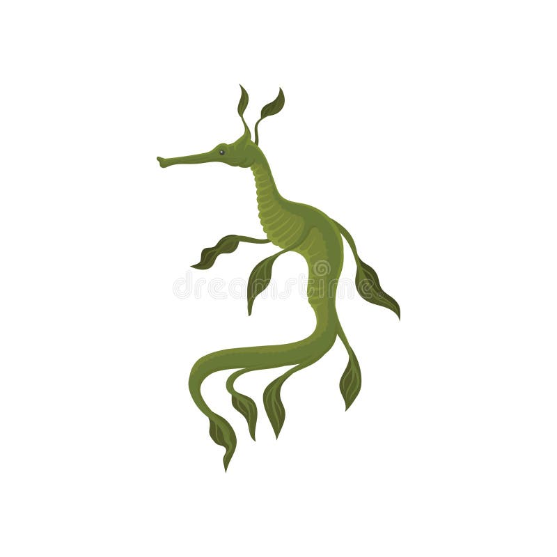 Flat Vector Icon of Green Leafy Sea Dragon. Marine Creature. Underwater Life Theme Stock Vector - Illustration of poster, icon: 133426844 Flat Vector Icon of Green Leafy Sea Dragon. Marine Creature. Underwater Life Theme Stock Vector - Illustration of poster, icon: 133426844