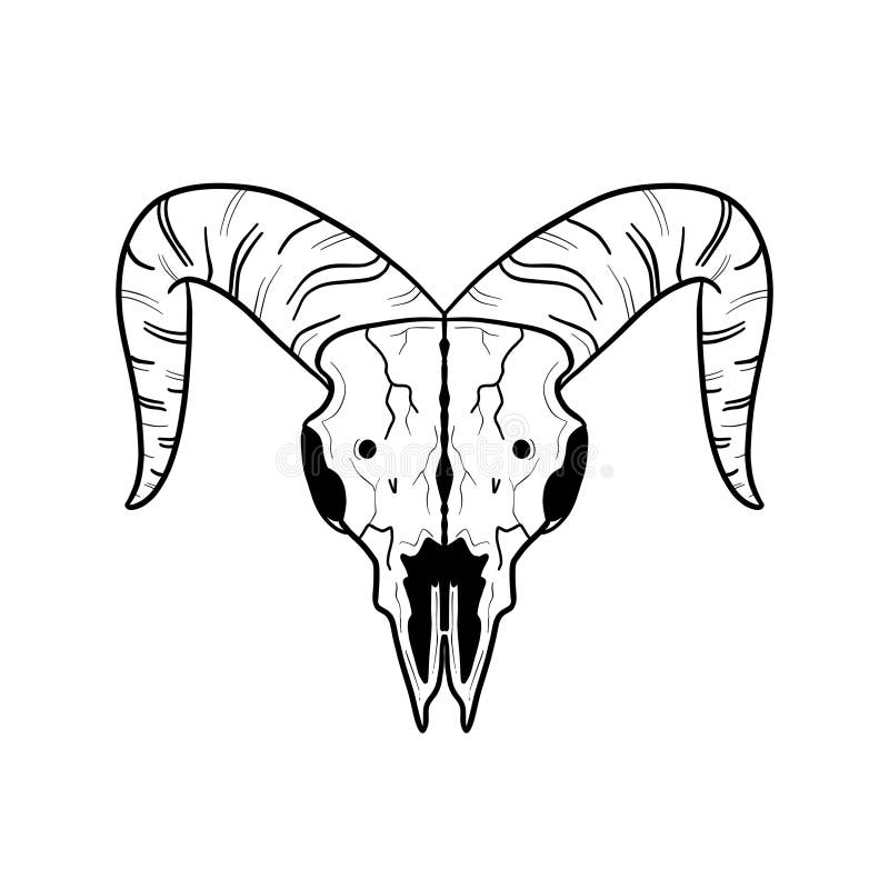 Cartoon Illustration Logo of an Animal Skull Like a Ram or Deer Stock ...